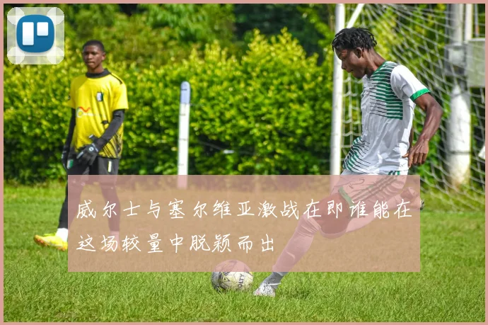 威尔士与塞尔维亚激战在即谁能在这场较量中脱颖而出